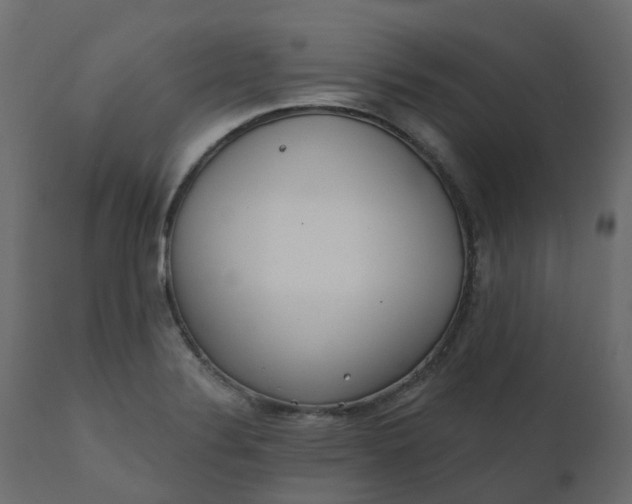 X0000110721324200906261446