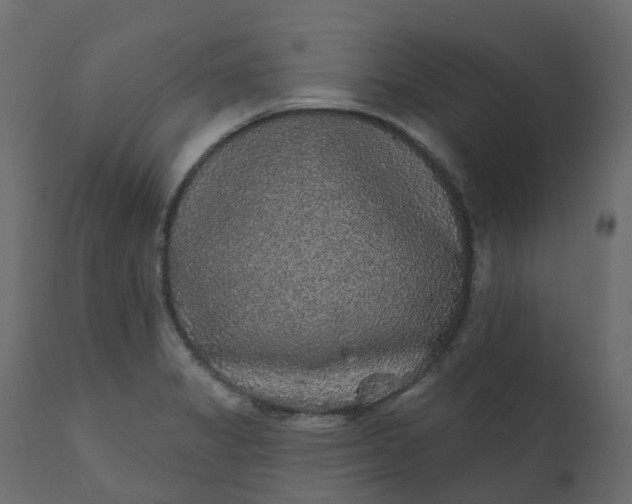 X0000110721325200906261446