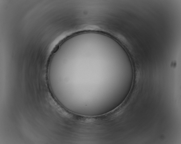 X0000110721326200906261446