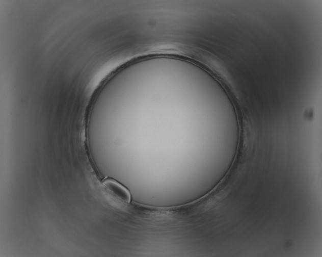 X0000110721328200906261446
