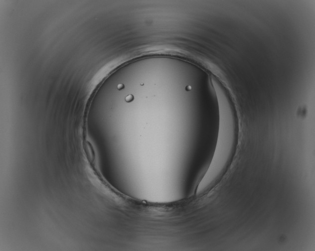 X0000110721330200906261446
