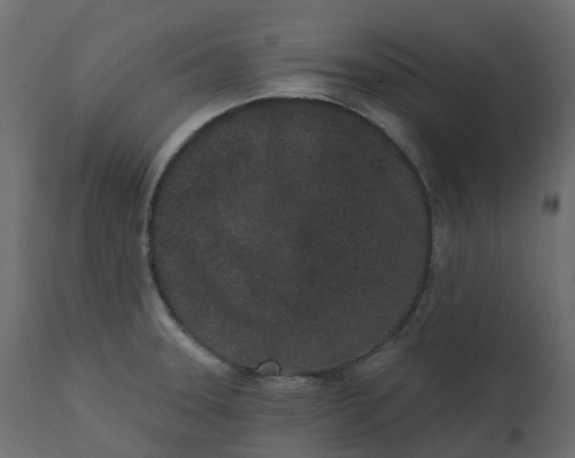 X0000110721331200906261446