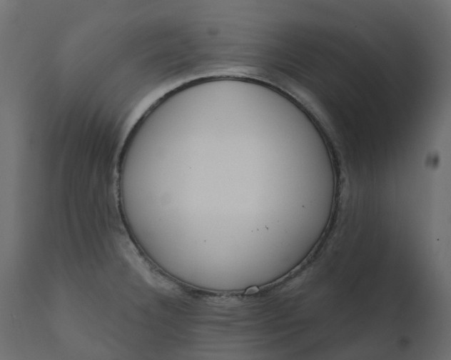 X0000110721332200906261446