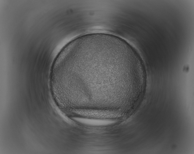 X0000110721333200906261446