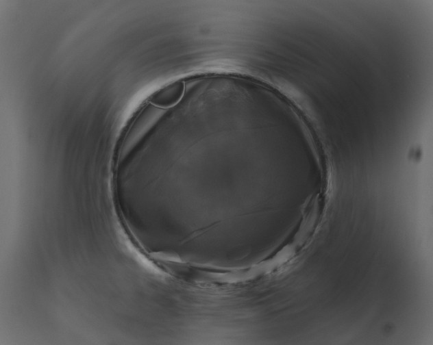 X0000110721334200906261446