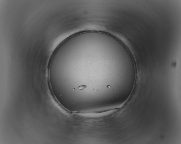 X0000110721335200906261446