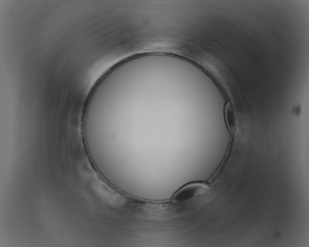 X0000110721336200906261446