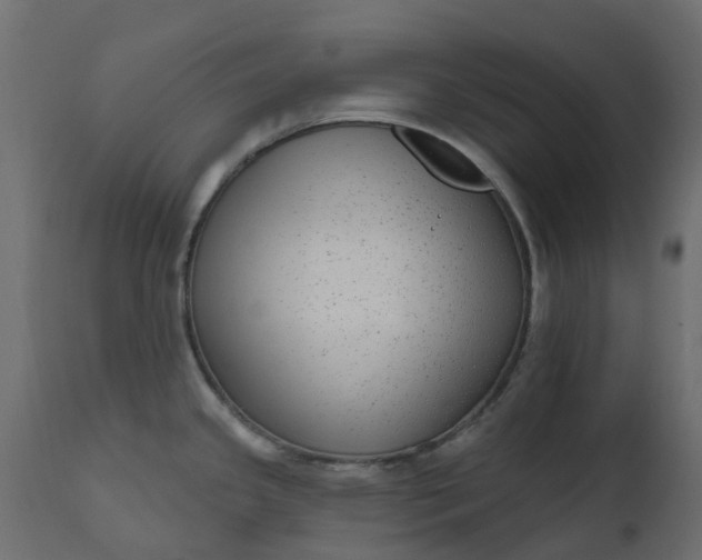 X0000110721341200906261447