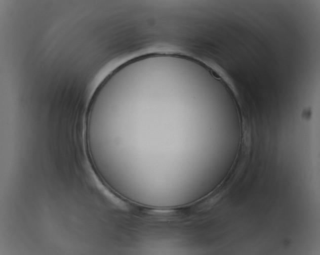 X0000110721343200906261447