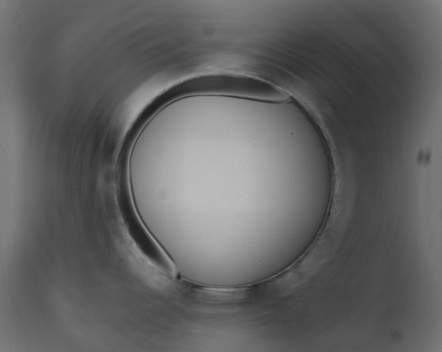 X0000110721344200906261447