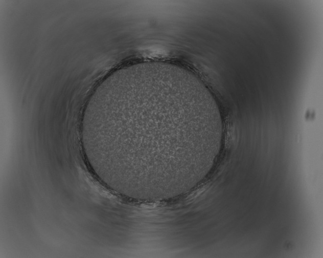 X0000110721345200906261446