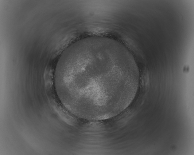 X0000110721346200906261446