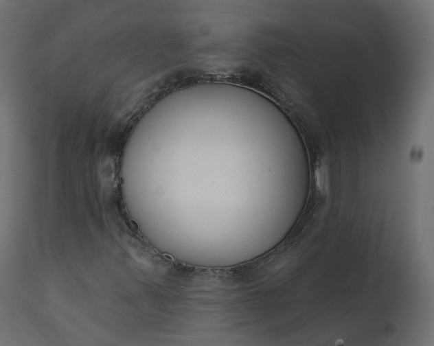X0000110721347200906261446