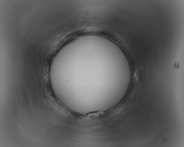 X0000110721348200906261446