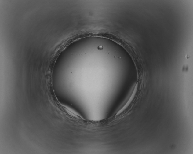 X0000110721349200906261446