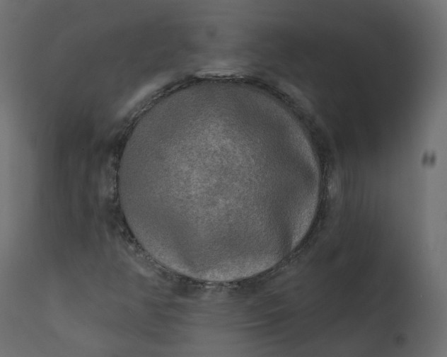 X0000110721350200906261446