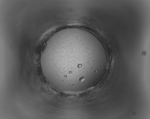 X0000110721351200906261446