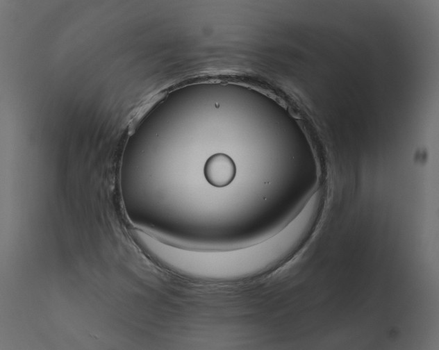 X0000110721353200906261446