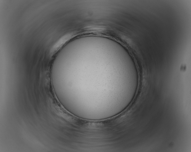 X0000110721354200906261446