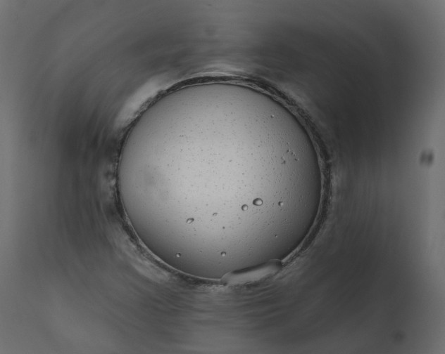 X0000110721355200906261446