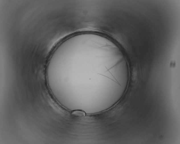 X0000110721356200906261446