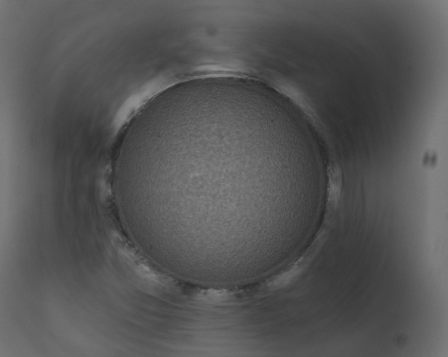 X0000110721357200906261446