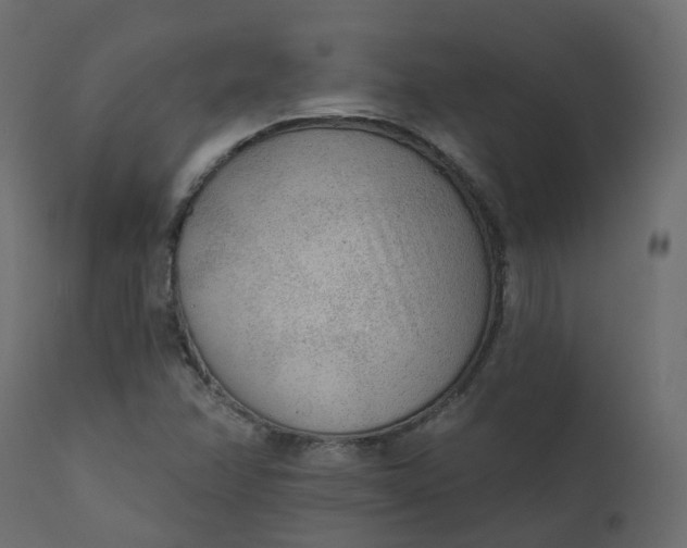 X0000110721358200906261446