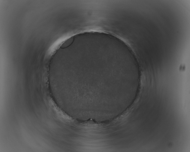 X0000110721359200906261446