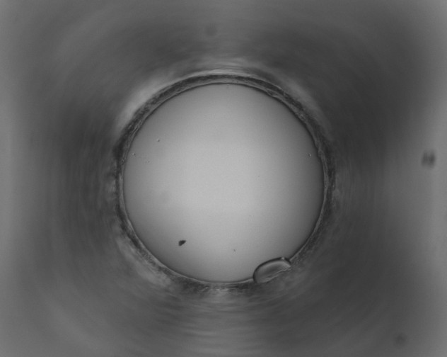 X0000110721360200906261446
