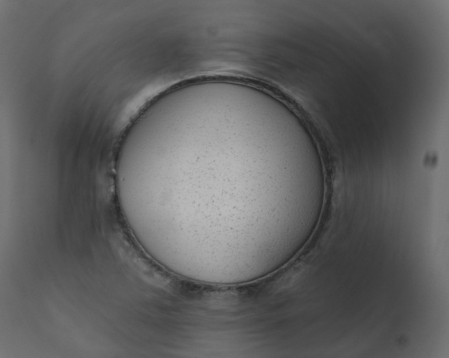 X0000110721363200906261446