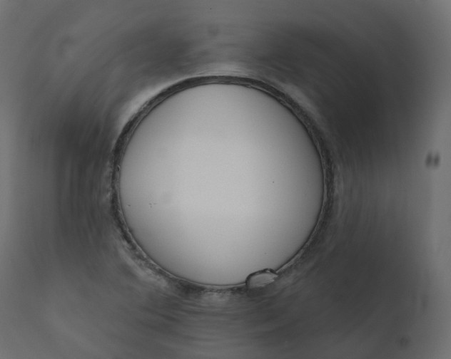 X0000110721364200906261446