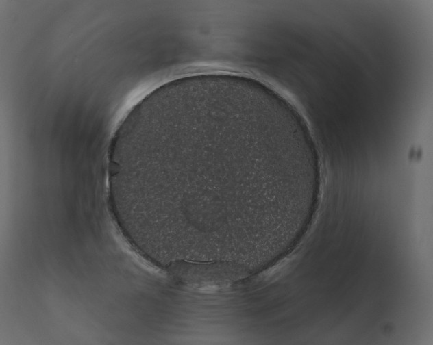 X0000110721365200906261446