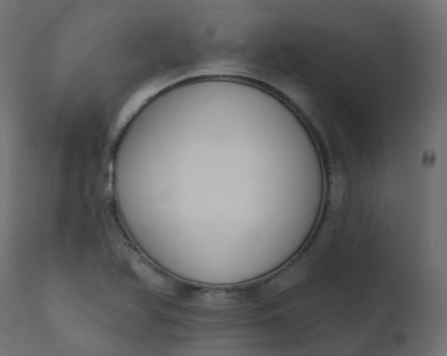 X0000110721366200906261446