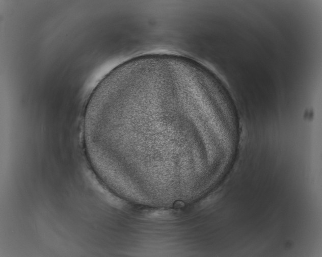 X0000110721367200906261446