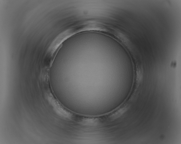 X0000110721369200906261446