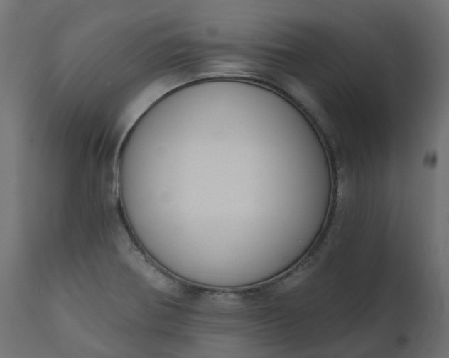 X0000110721370200906261446