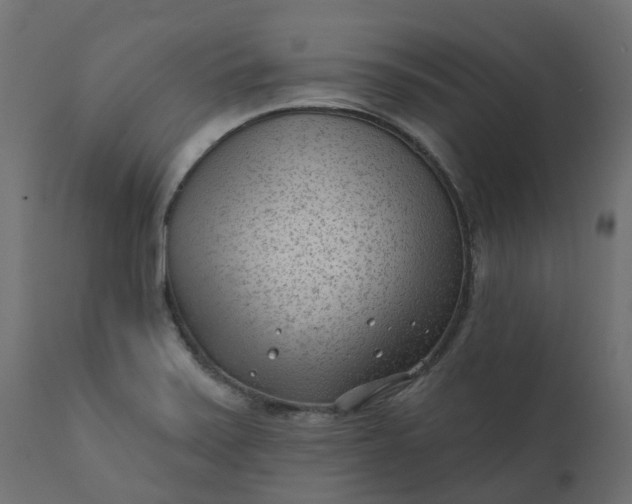 X0000110721371200906261446