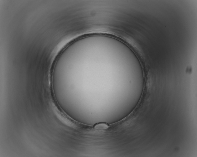 X0000110721372200906261446