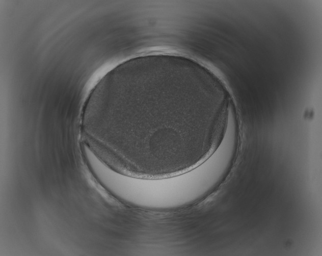 X0000110721373200906261446