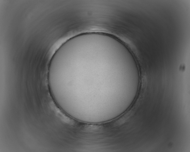 X0000110721374200906261446