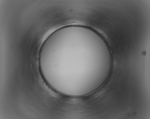 X0000110721375200906261445
