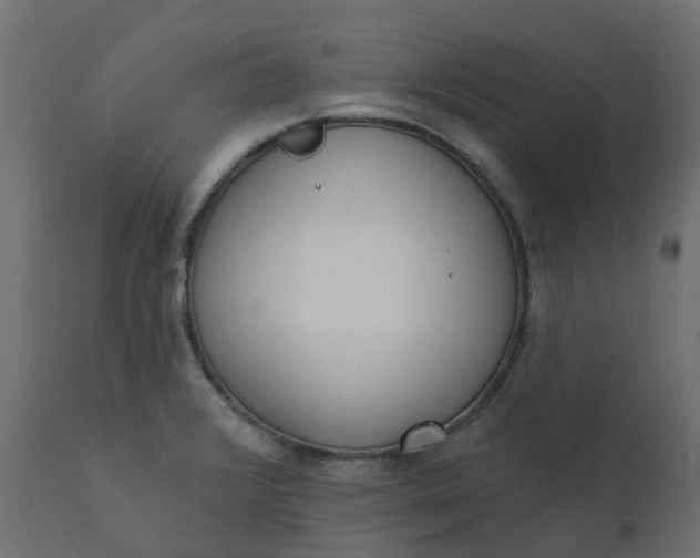 X0000110721376200906261445