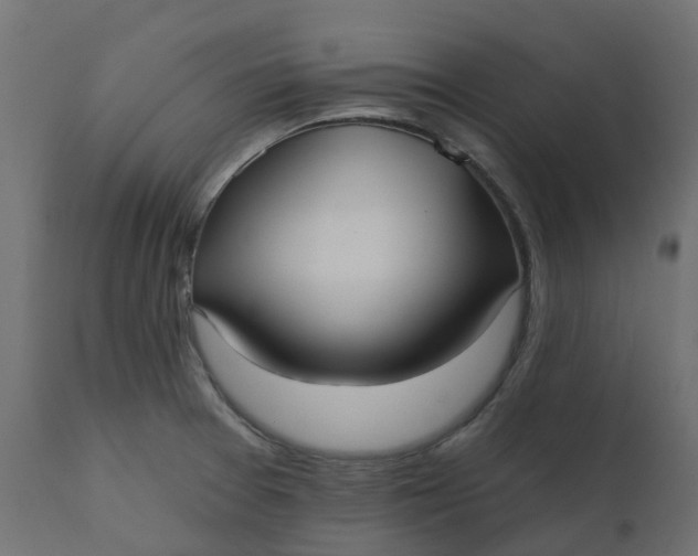 X0000110721377200906261445
