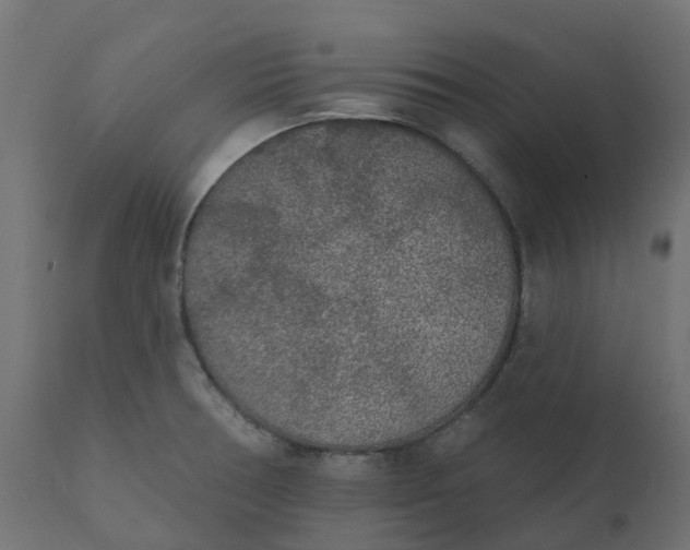 X0000110721378200906261445