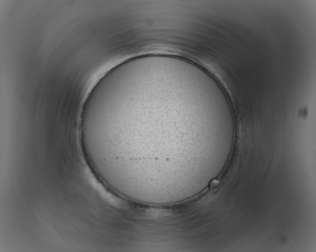 X0000110721379200906261445