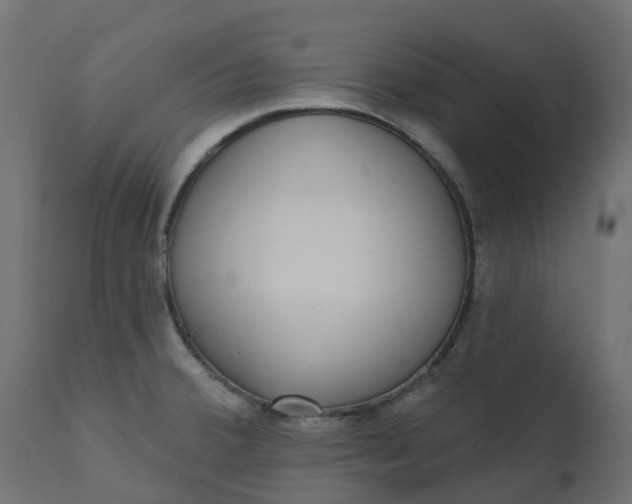 X0000110721380200906261445