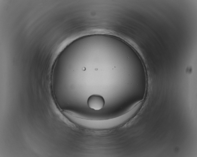 X0000110721381200906261445