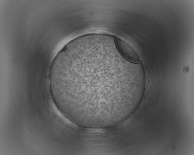 X0000110721382200906261445