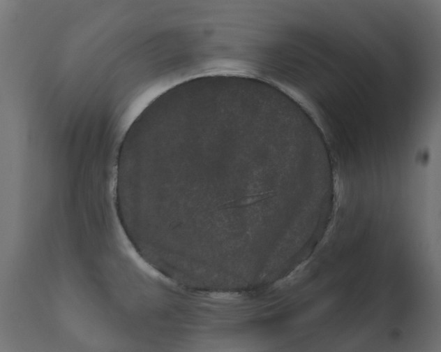 X0000110721383200906261445