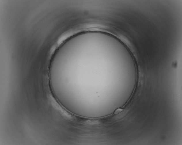 X0000110721384200906261445